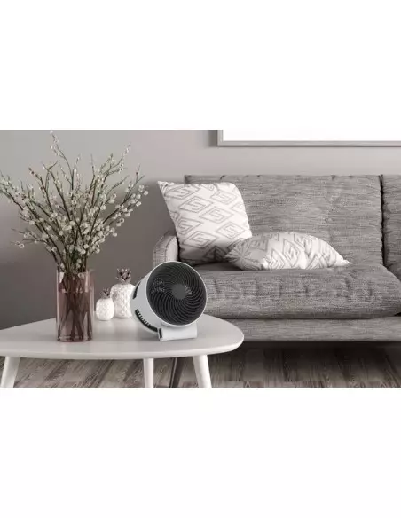 Ventilator pentru spalarea aerului Boneco F100