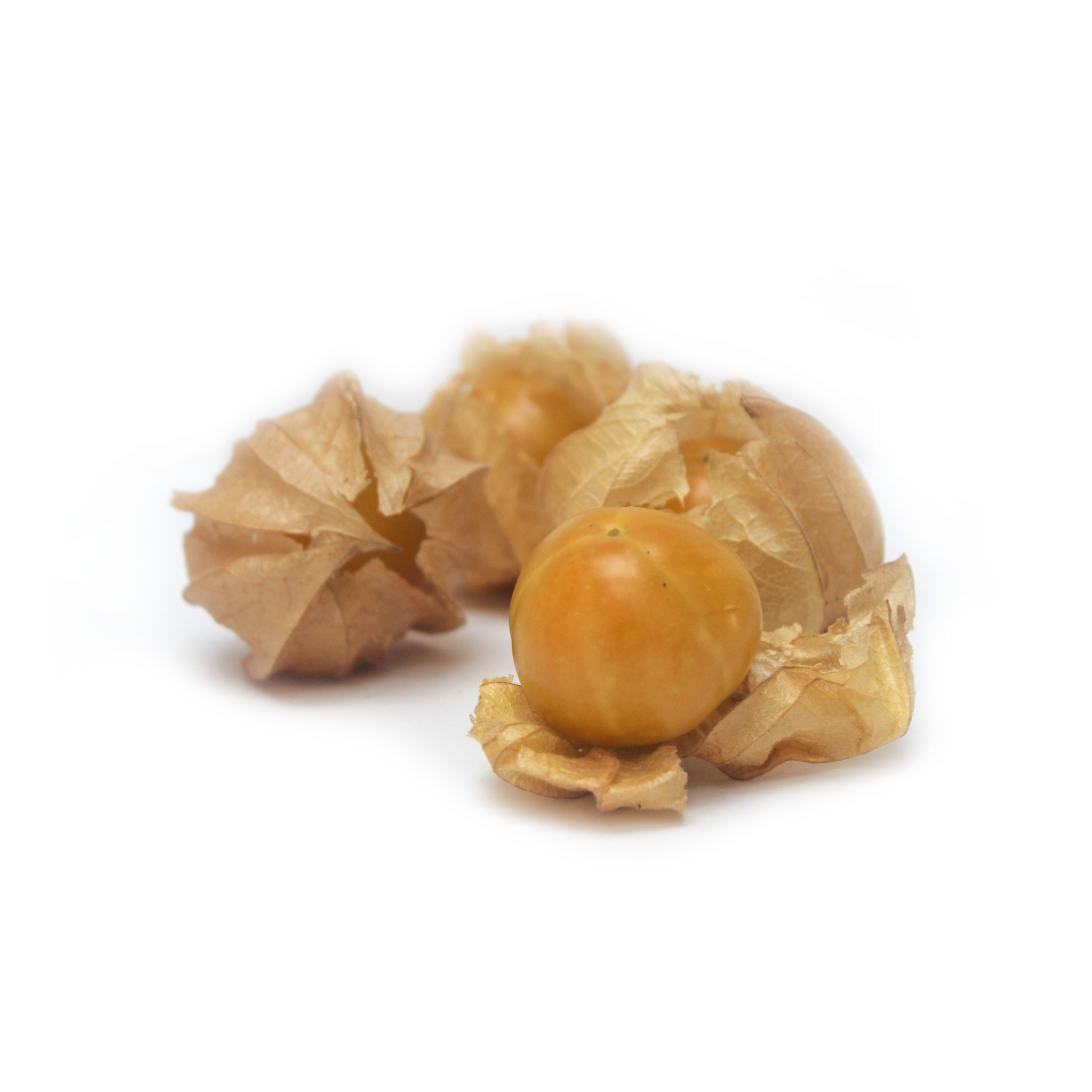 Physalis/Andenbeeren bio 80gr Biohof